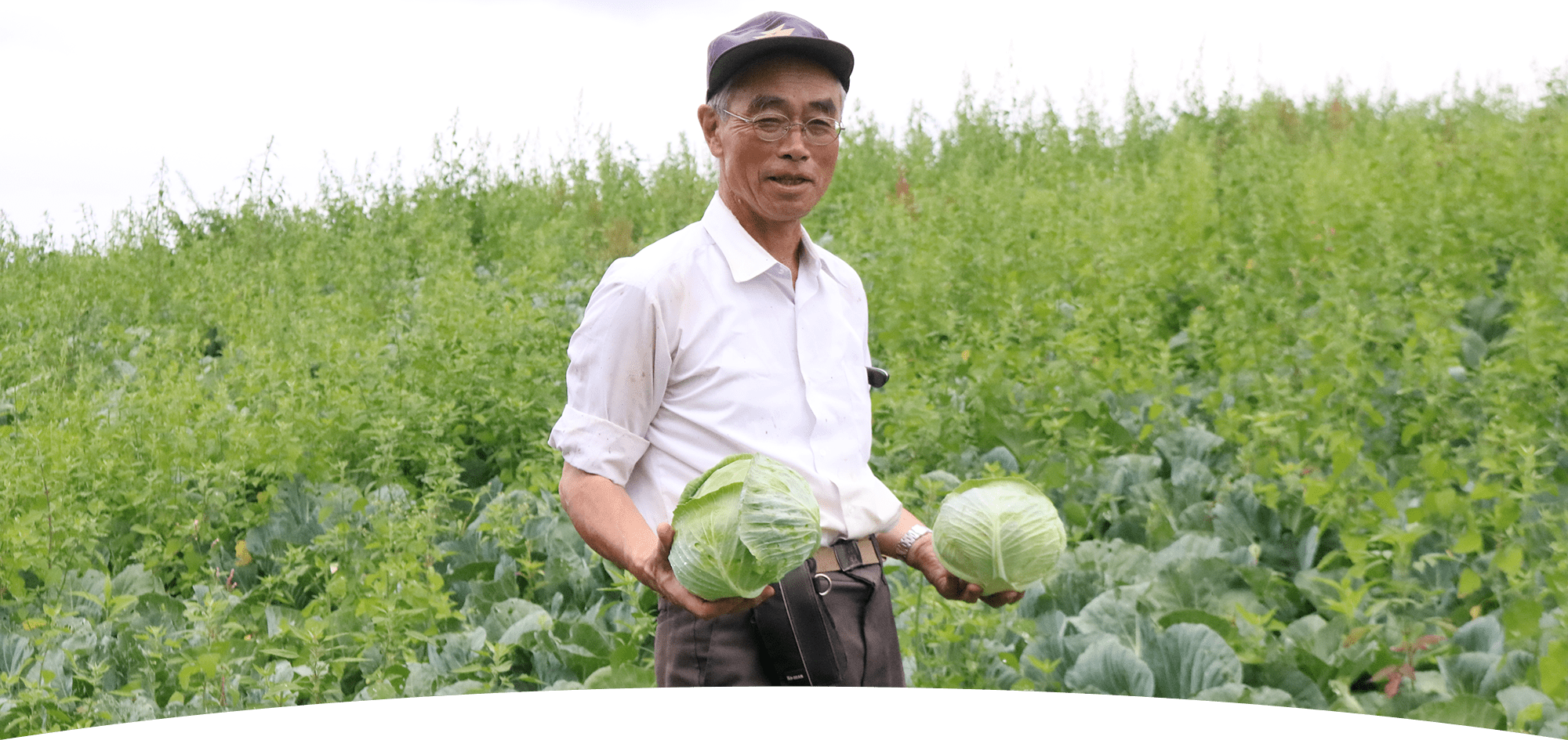 みずみずしさが広がる自然の恵み